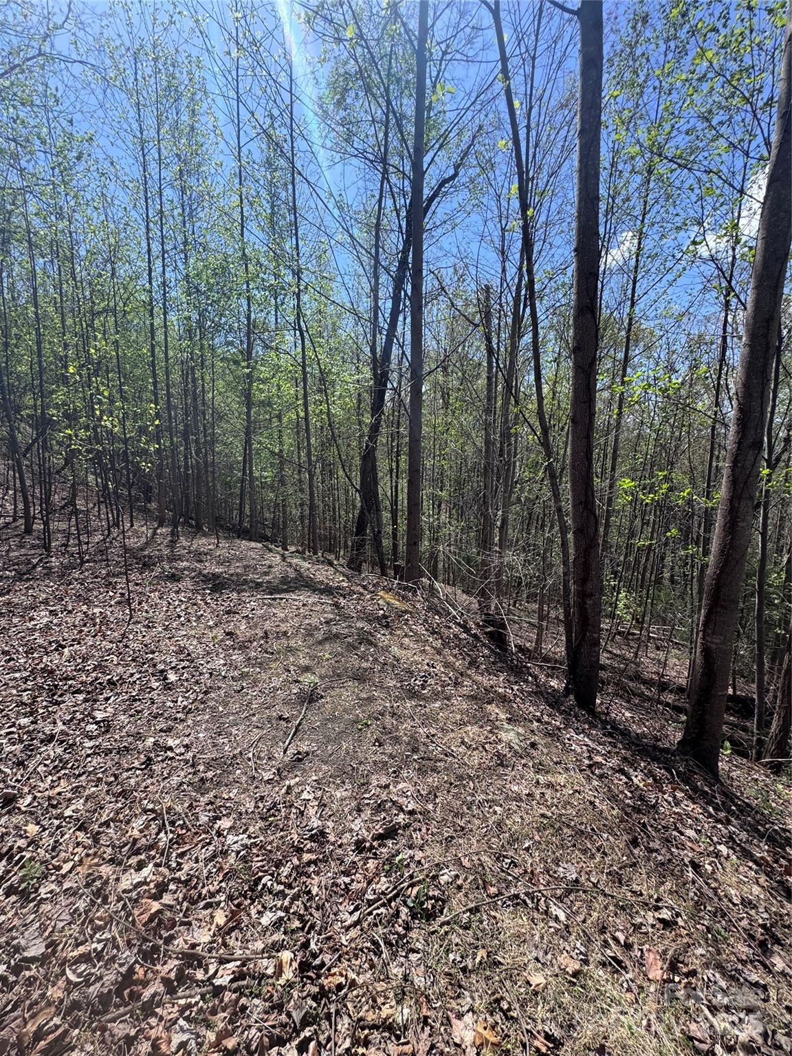 0 High Pines Loop, Unit 158 Lake Lure, NC 28746 - Photo 8 of 13