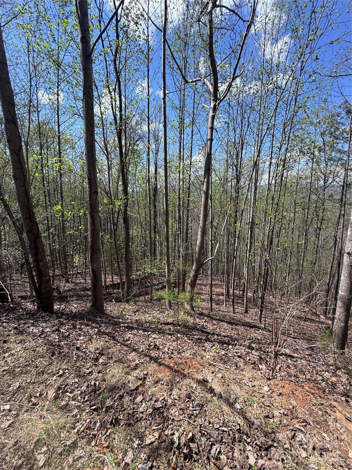 0 High Pines Loop, Unit 158 Lake Lure, NC 28746 - Photo 9 of 13