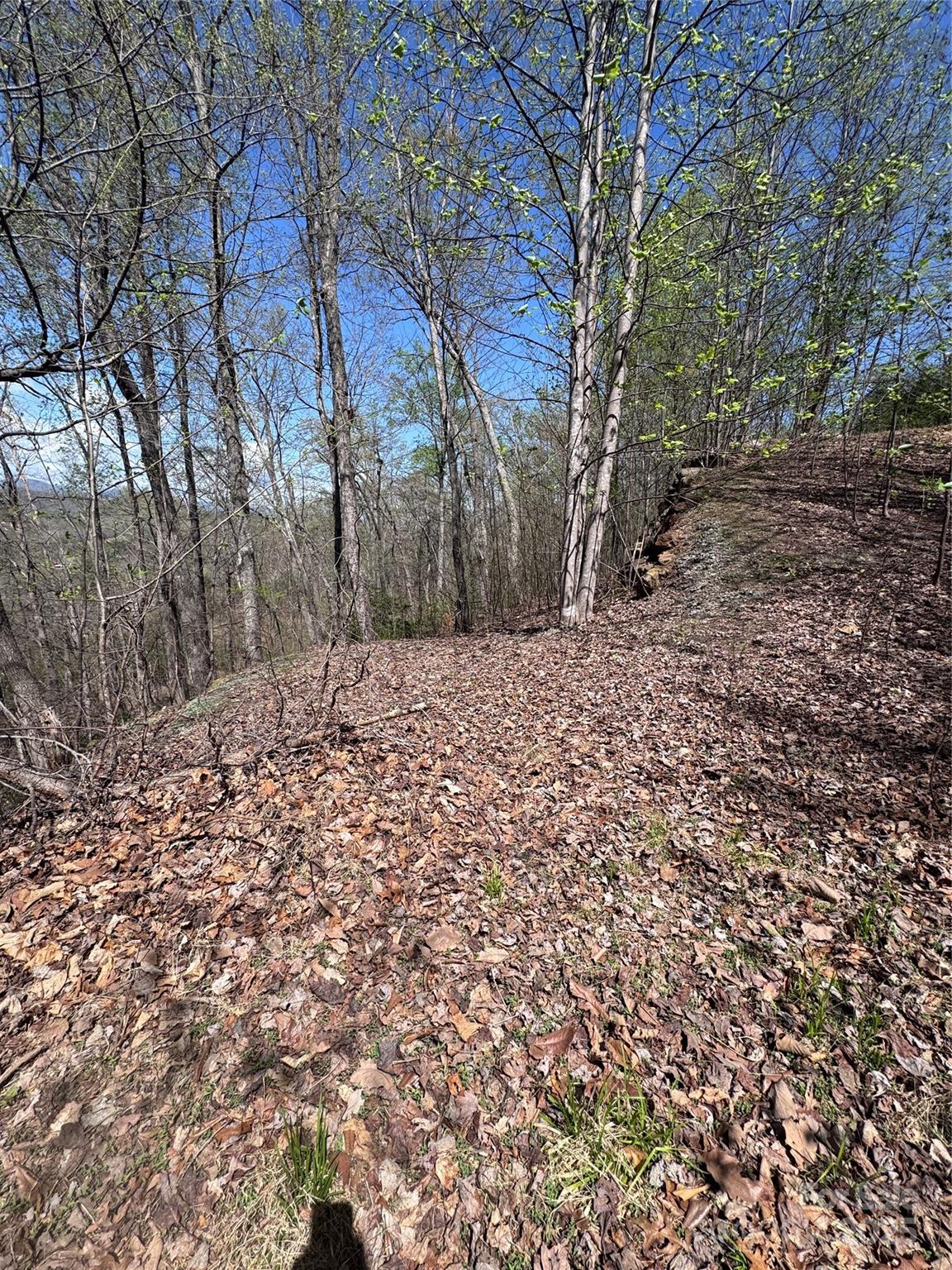 0 High Pines Loop, Unit 158 Lake Lure, NC 28746 - Photo 10 of 13