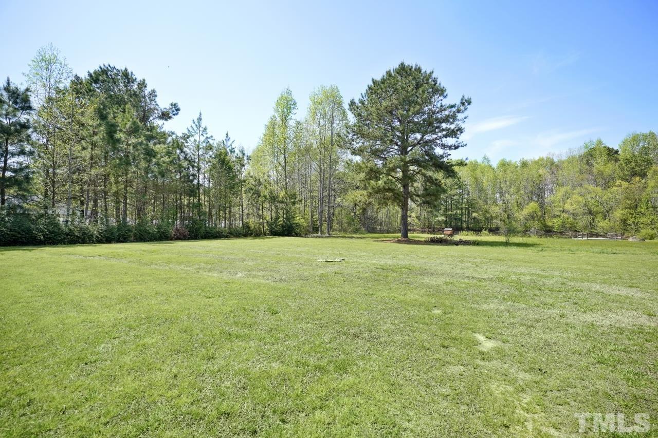 47 Hadleigh Way Fuquay-Varina, NC 27526 - Photo 30 of 37 a view of outdoor space with green field and trees