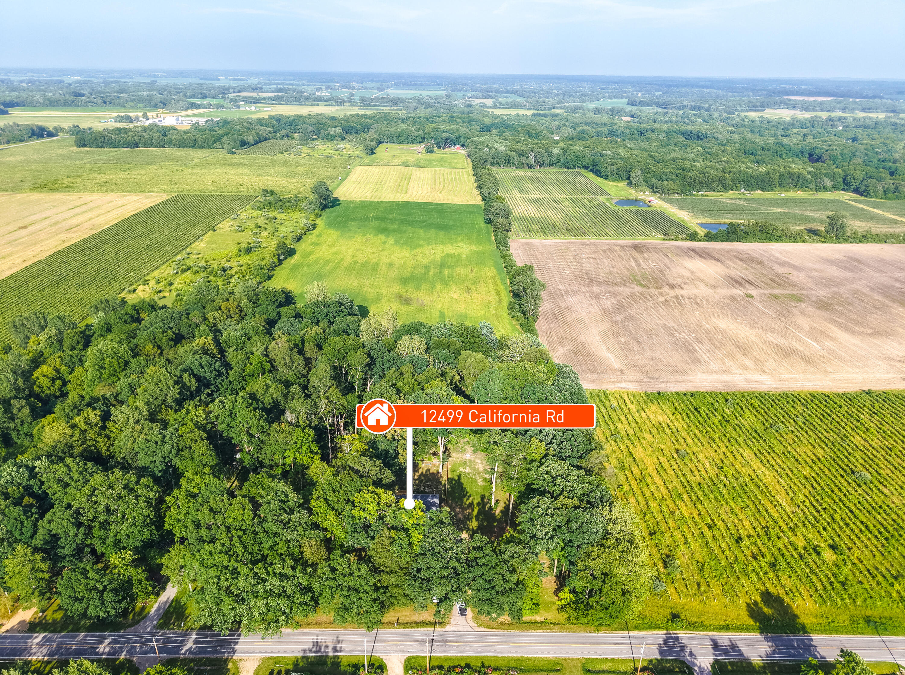 12449 California Road Sawyer, MI 49125 - Photo 49 of 52 close to vineyards