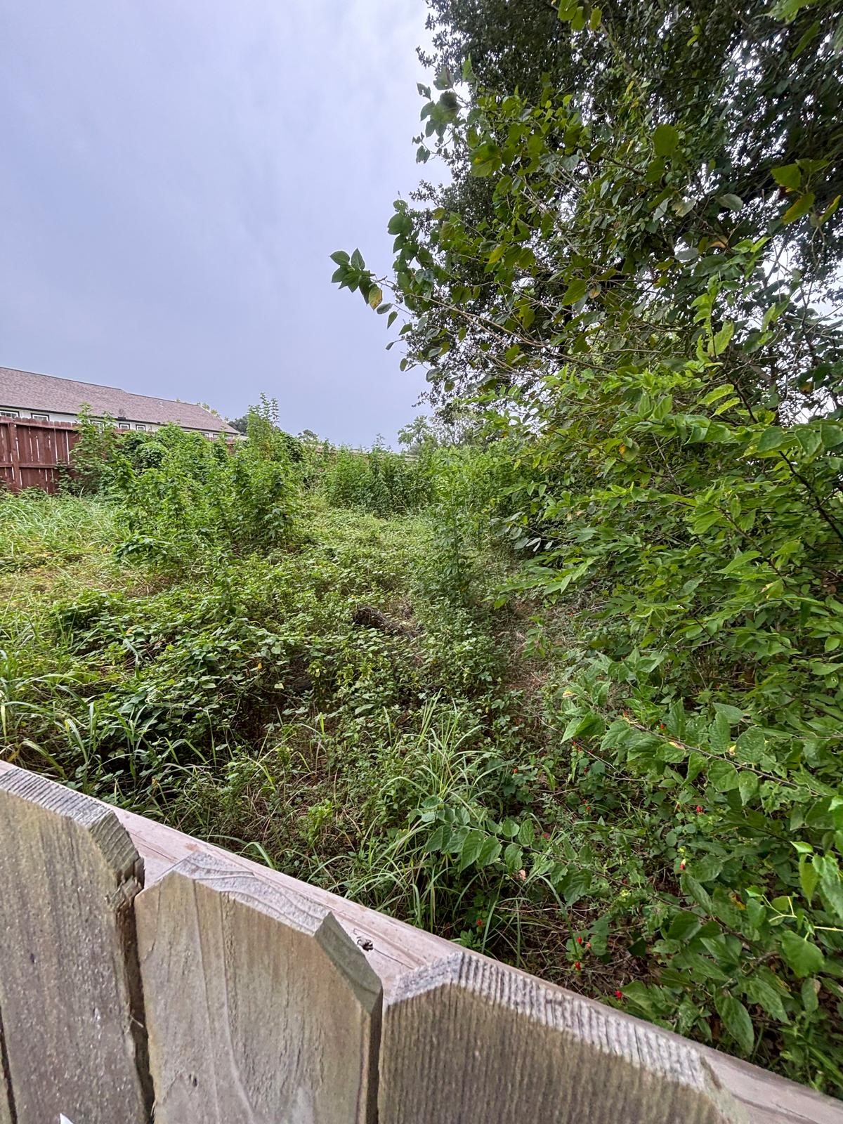 0 Parker Road Houston, TX 77093 - Photo 10 of 11 Gallery Image 10