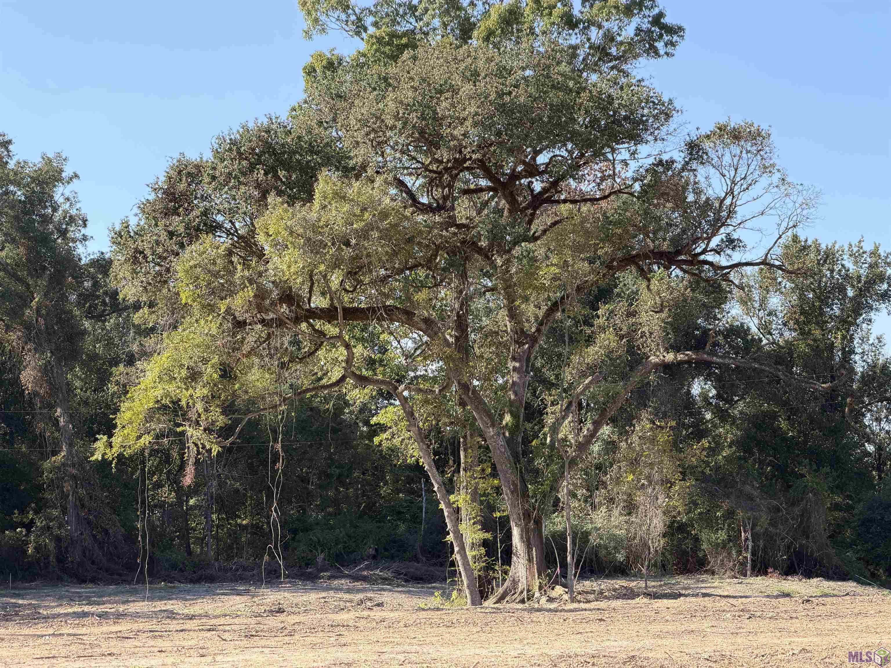 38 North Stately Oaks Drive Baton Rouge, LA 70810 - Photo 7 of 9