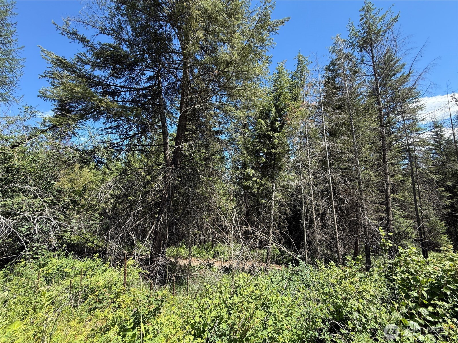 32 4th Of July Creek Road Danville, WA 99121 - Photo 15 of 20