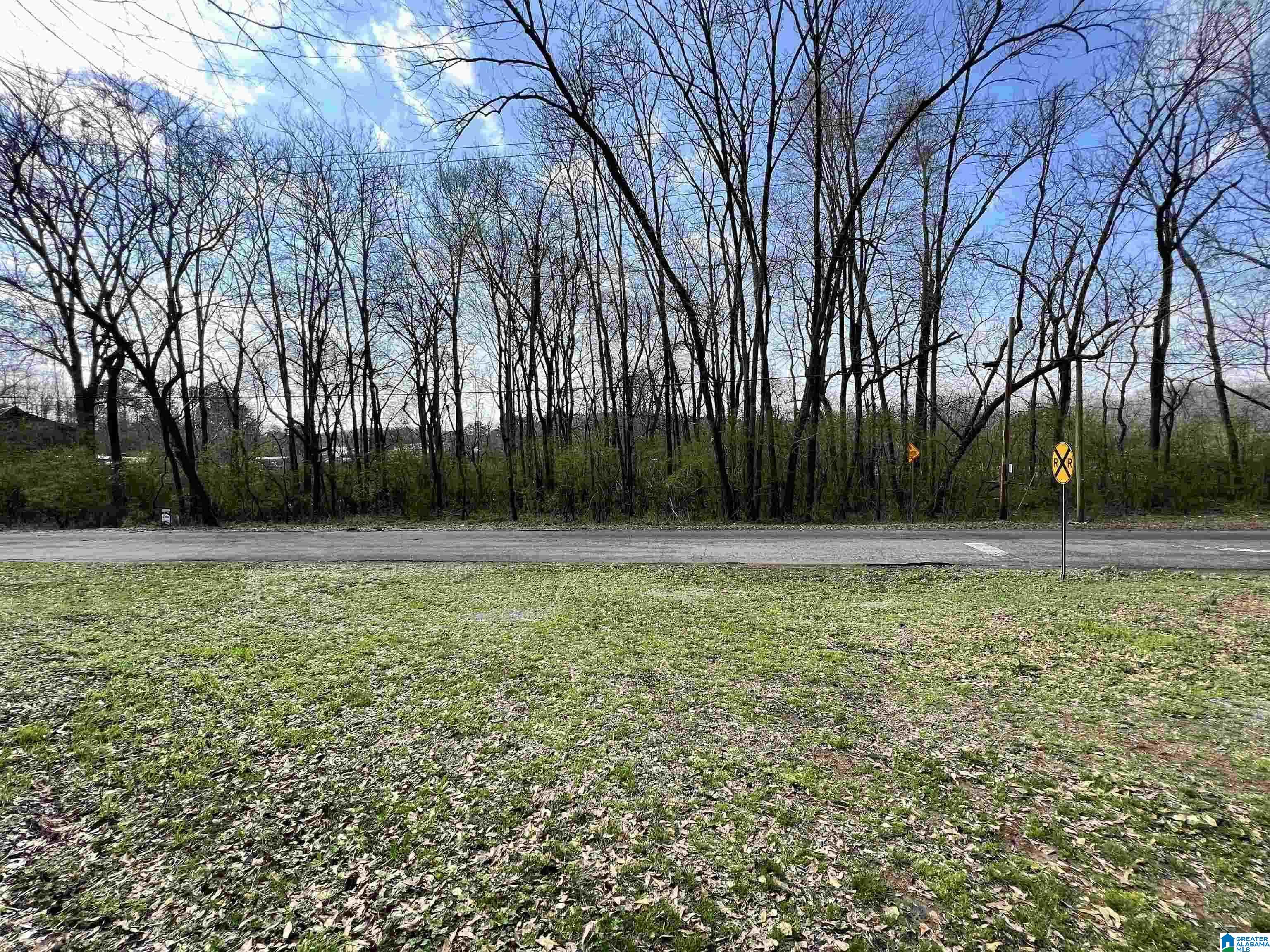 112 Robinson Street, Unit 1 Springville, AL 35146 - Photo 1 of 2