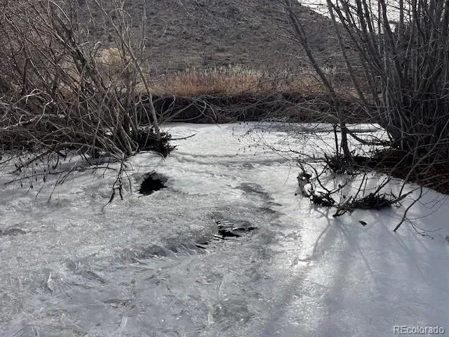 a view of a dry yard with trees