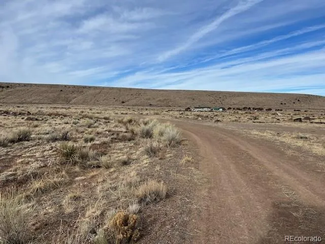a view of lot of a dry yard