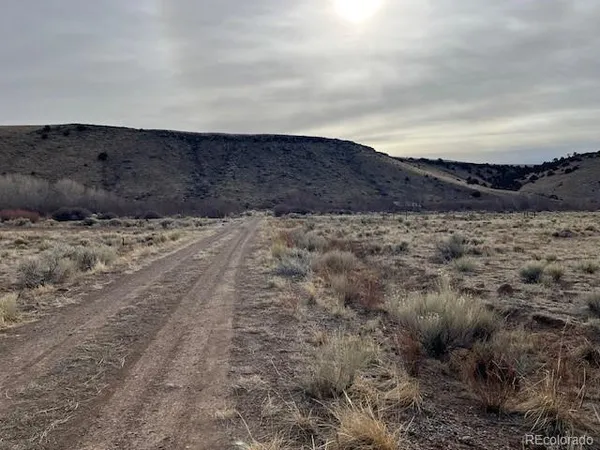 a view of a dry field with mountains in the background