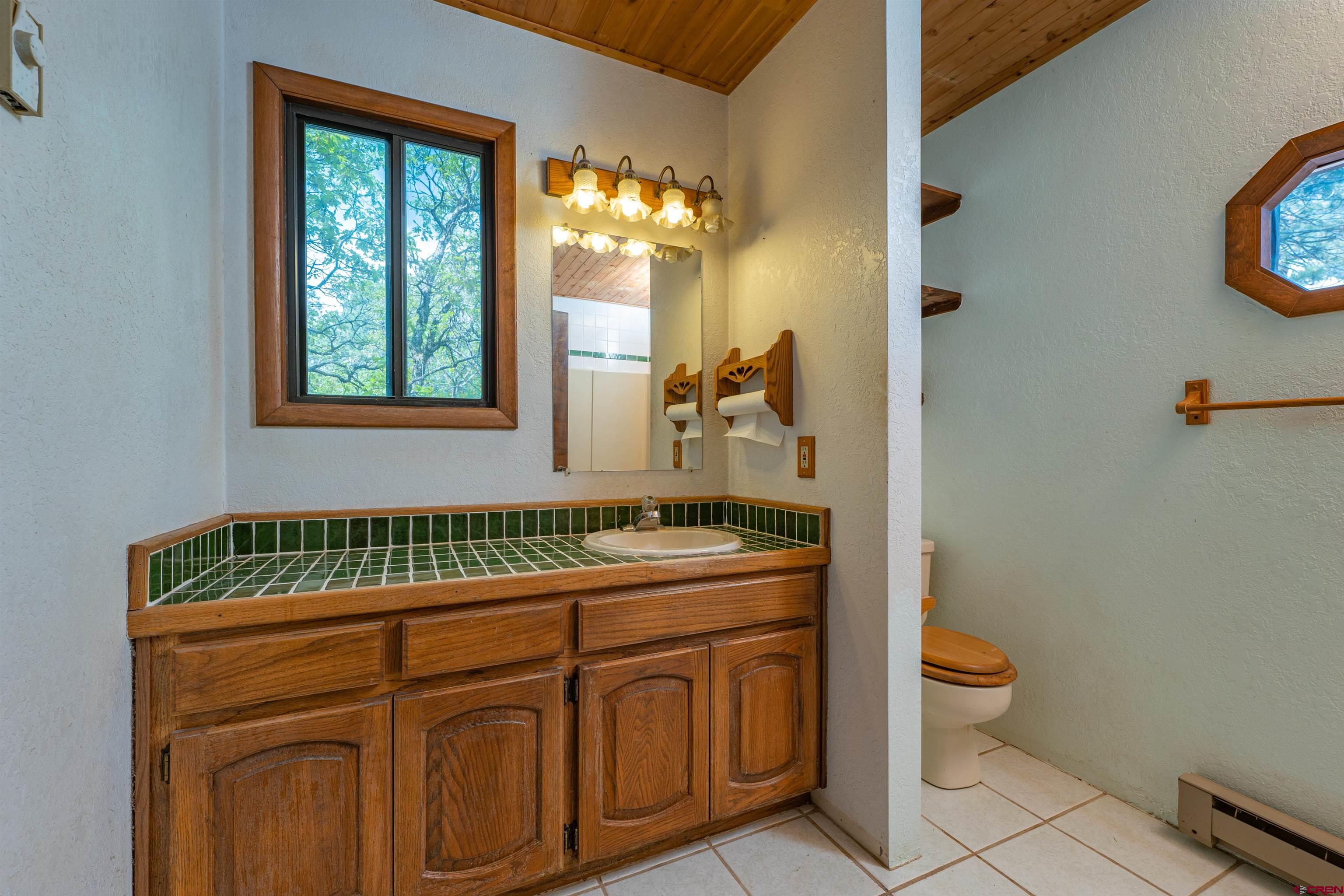 284 Willow Drive Durango, CO 81301 - Photo 22 of 35 a bathroom with a sink a toilet and a mirror