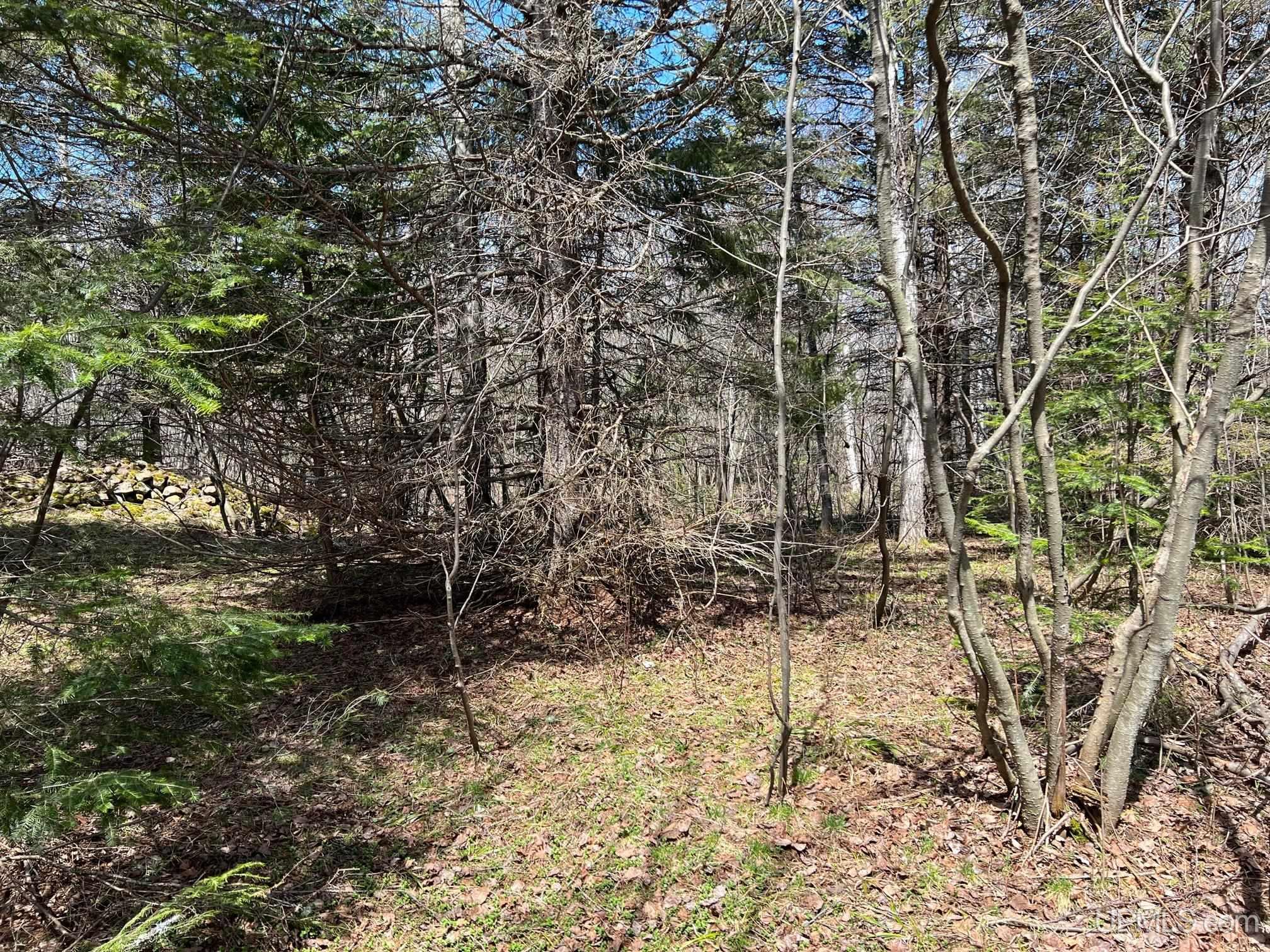 Tbd167 Liminga Road Houghton, MI 49931 - Photo 7 of 13 Gallery Image 7