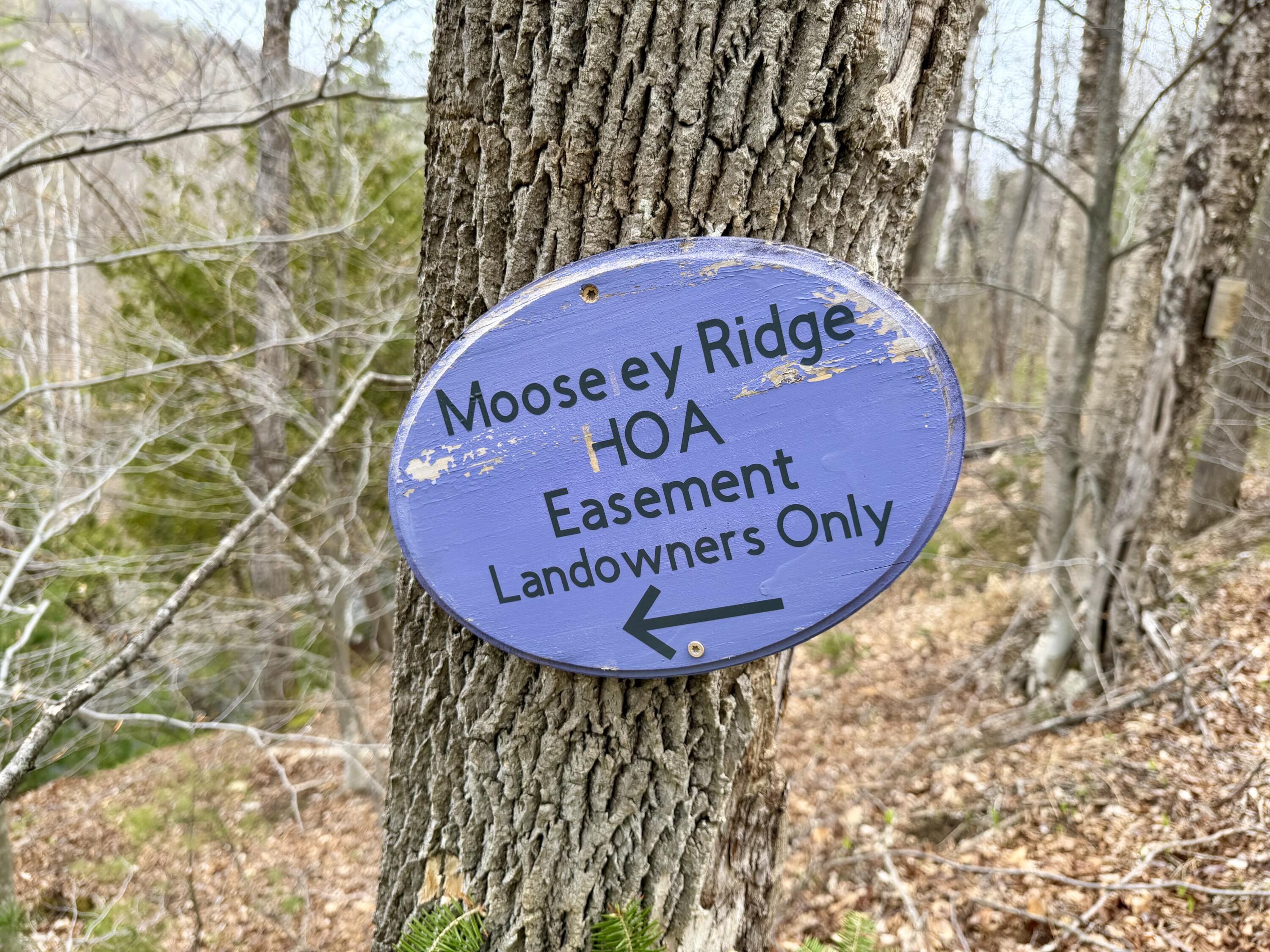 Lot 2 Mooseley Ridge Road Phillips, ME 04966 - Photo 21 of 24