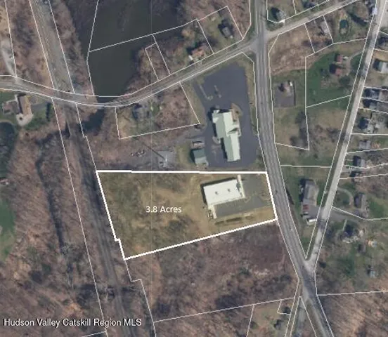 a picture of a plant