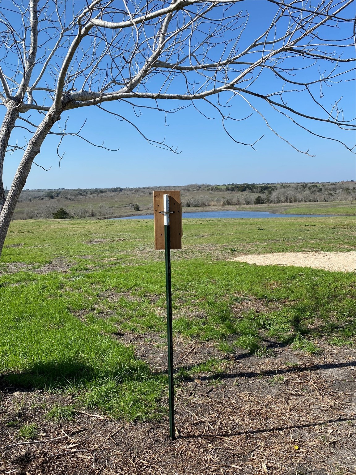 5914 Guettermann Ehler Road Muldoon, TX 78949 - Photo 8 of 11 a backyard of a house with lots of green space
