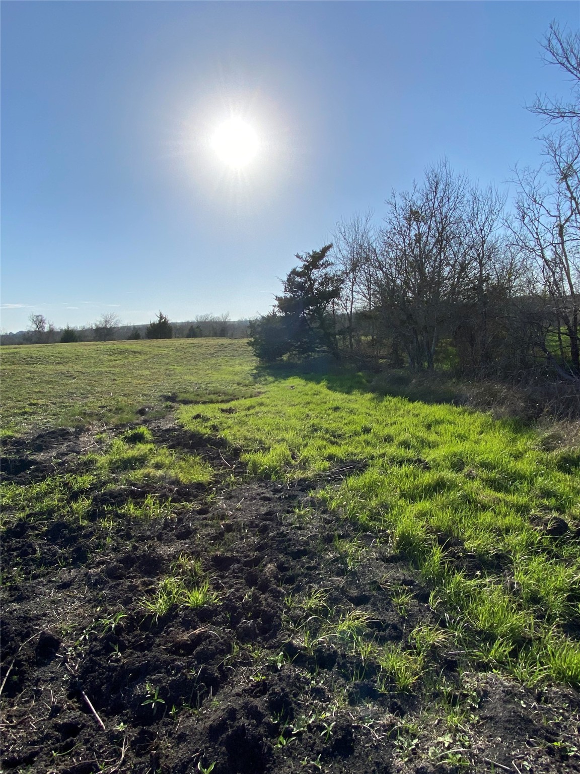 5914 Guettermann Ehler Road Muldoon, TX 78949 - Photo 9 of 11 a view of an outdoor space and a yard