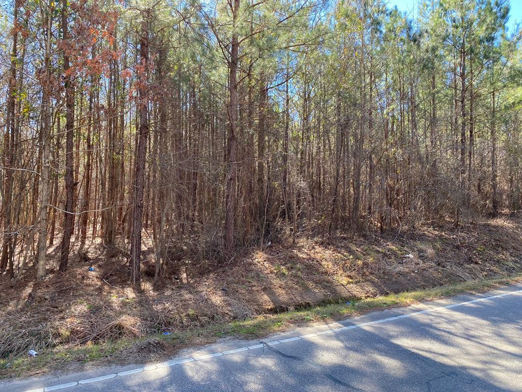 36 Bland Baptist Road Johnston, SC 29832 - Photo 1 of 1 Main View