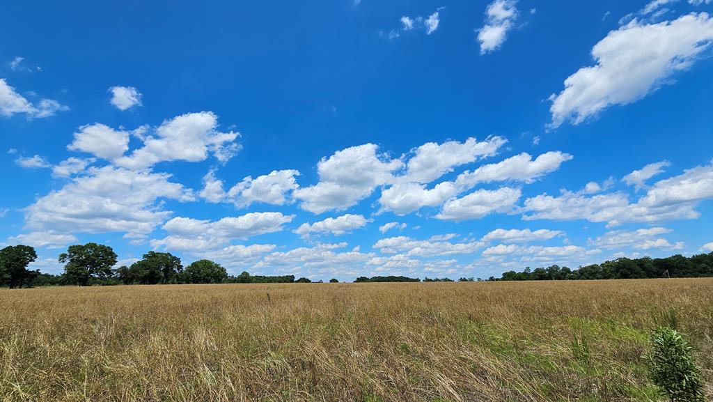 92 County Road 92 Slocomb, AL 36375 - Photo 29 of 58