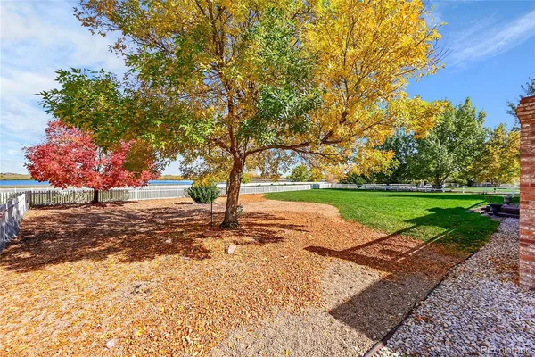 a view of backyard of green space
