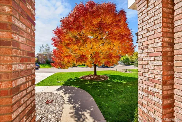 a view of a garden with a house