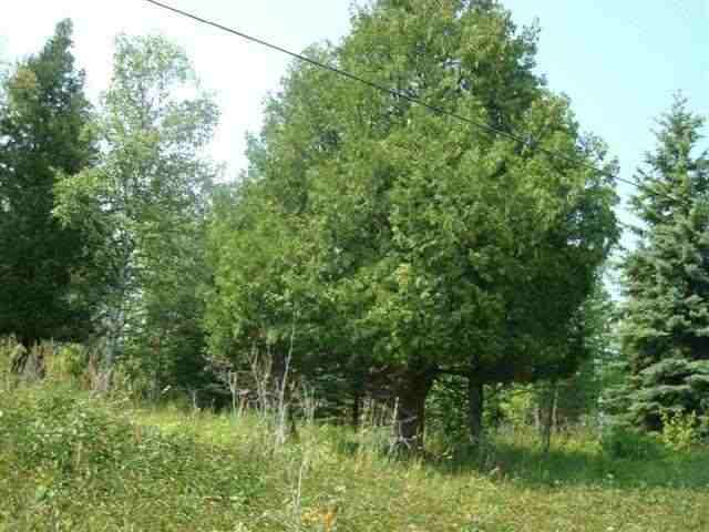 23-xx Big Point Road Two Harbors, MN 55616 - Photo 1 of 8 Gallery Image 1