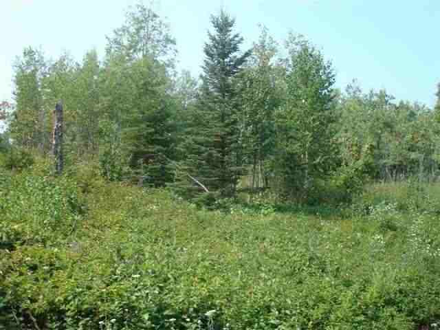 23-xx Big Point Road Two Harbors, MN 55616 - Photo 3 of 8 Gallery Image 3