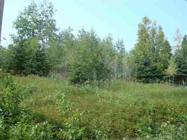 23-xx Big Point Road Two Harbors, MN 55616 - Photo 4 of 8 Gallery Image 4