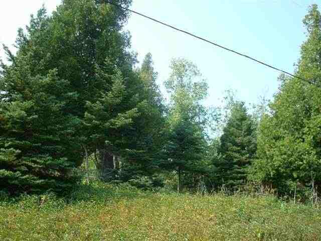 23-xx Big Point Road Two Harbors, MN 55616 - Photo 6 of 8 Gallery Image 6