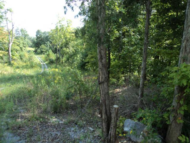 3413 Maxey Road Cedar Hill, TN 37032 - Photo 1 of 4 Gallery Image 1