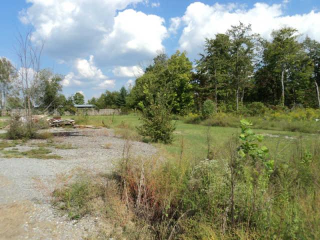 3413 Maxey Road Cedar Hill, TN 37032 - Photo 2 of 4 Gallery Image 2