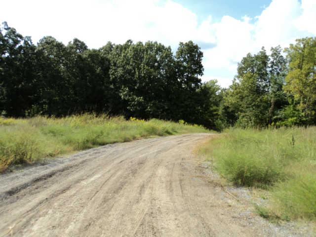 3413 Maxey Road Cedar Hill, TN 37032 - Photo 3 of 4 Gallery Image 3