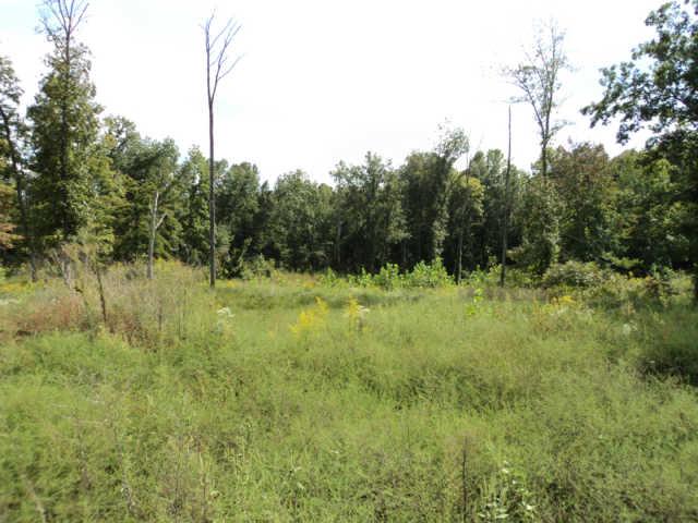 3413 Maxey Road Cedar Hill, TN 37032 - Photo 4 of 4 Gallery Image 4