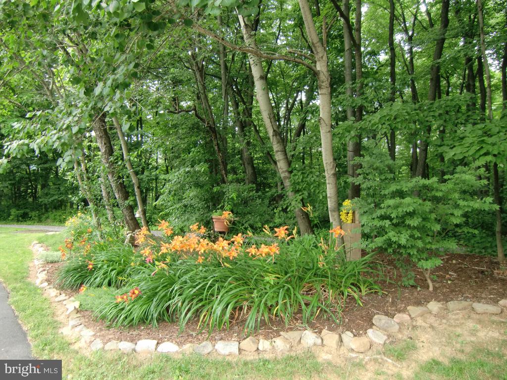 1041 Meckville Road Bethel, PA 19507 - Photo 2 of 17 Gallery Image 2