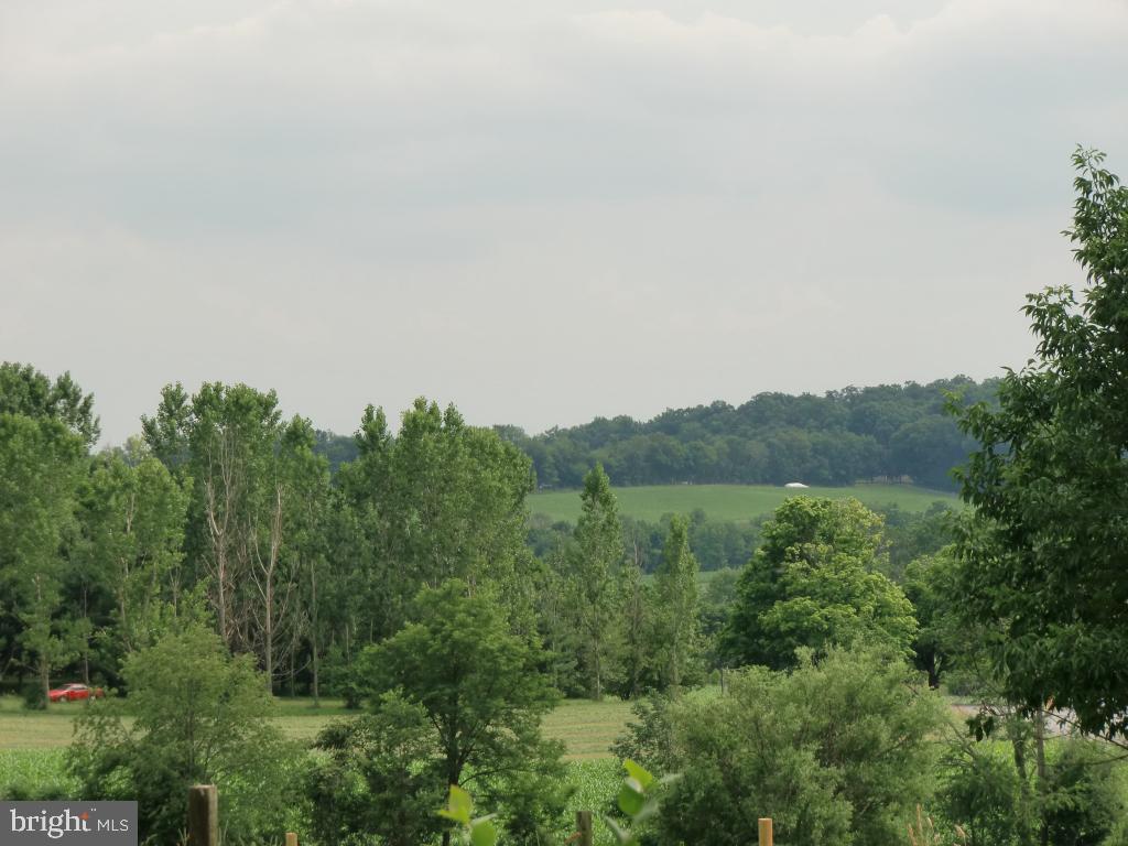 1041 Meckville Road Bethel, PA 19507 - Photo 5 of 17 Gallery Image 5