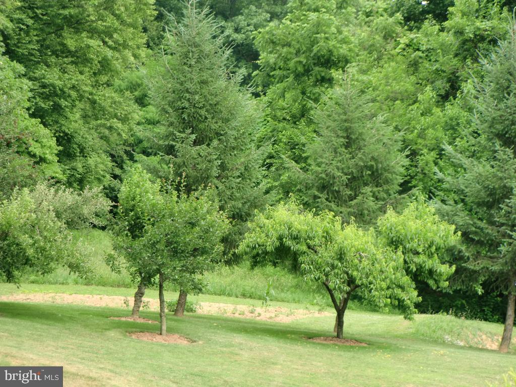 1041 Meckville Road Bethel, PA 19507 - Photo 7 of 17 Gallery Image 7