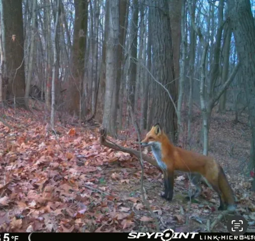 $355,900 | 6001 Felstead Road, Evansville, IN 47712