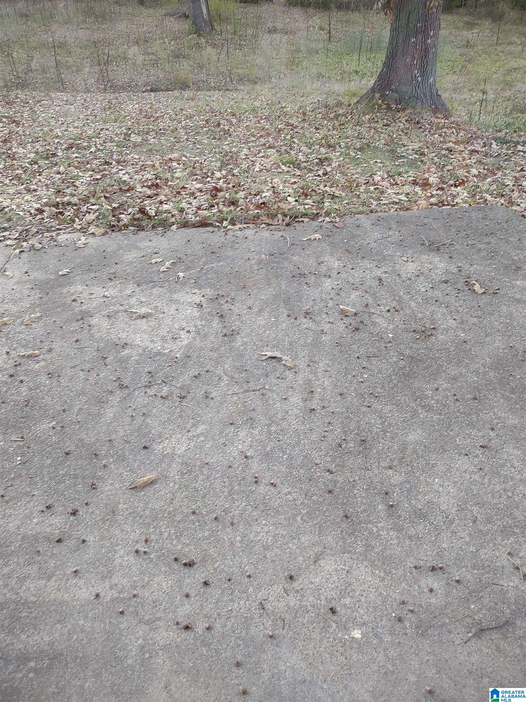 1419 Pelham Street Anniston, AL 36201 - Photo 38 of 67