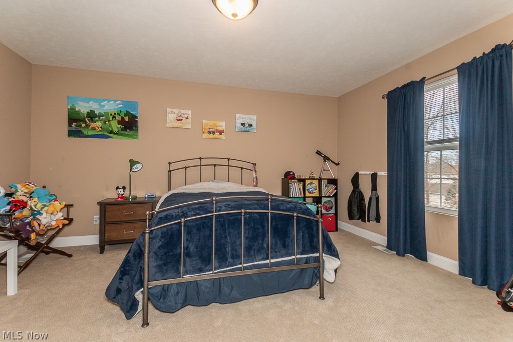 11195 Colburn Road Painesville, OH 44077 - Photo 20 of 23
