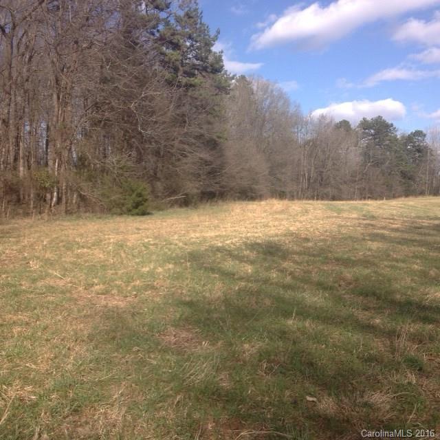 0 South Potter Road Waxhaw, NC 28173 - Photo 5 of 6 a view of a dry yard