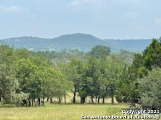 1619 Stringtown Road Medina, TX 78055 - Photo 1 of 1 a view of a town with mountains in the background