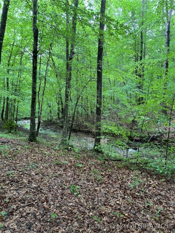 6435 East Shafer Ridge Road Milltown, IN 47145 - Photo 2 of 10 Creek