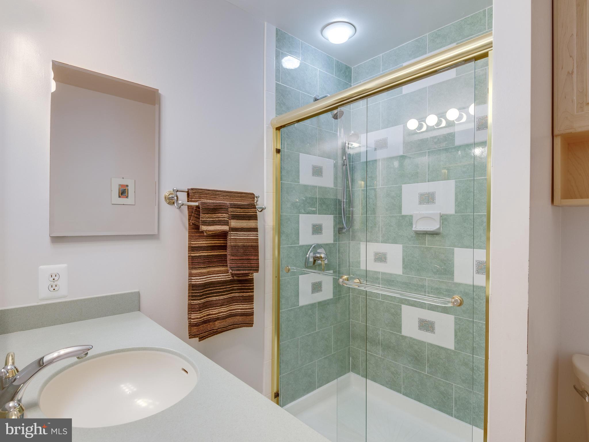 1672 Wainwright Drive Reston, VA 20190 - Photo 18 of 30 Bath (Master)