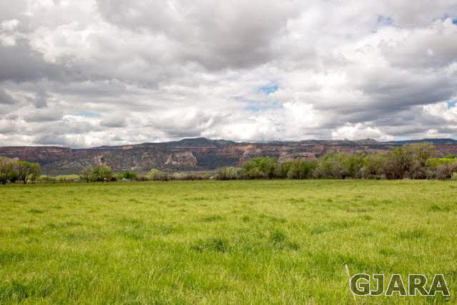 947 19 1/2 Road Fruita, CO 81521 - Photo 3 of 5 a view of an outdoor space and deck