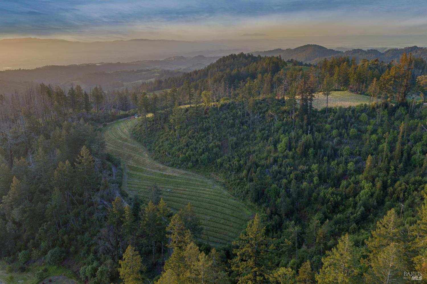 3801 Mt Veeder Road Napa, CA 94558 - Photo 11 of 22