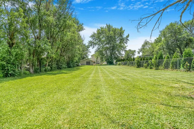 a view of a field with trees in the background