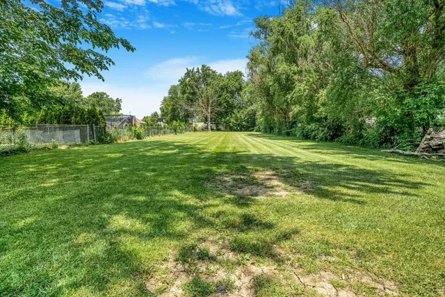 a view of a big yard with plants and large trees