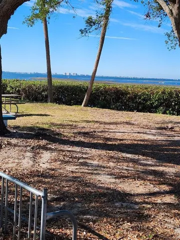a view of a park with large trees