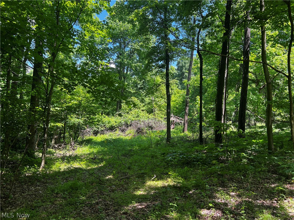 1089 Township Road Perrysville, OH 44864 - Photo 14 of 23 Gallery Image 14