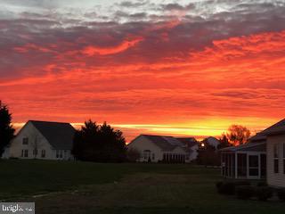 8 Harlequin Loop Bridgeville, DE 19933 - Photo 39 of 66 Back Yard View