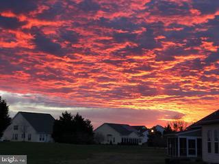 8 Harlequin Loop Bridgeville, DE 19933 - Photo 40 of 66 Back Yard View
