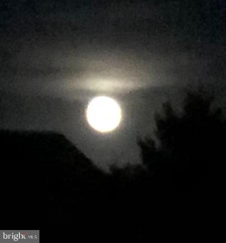 8 Harlequin Loop Bridgeville, DE 19933 - Photo 41 of 66 Moonlit Back Yard