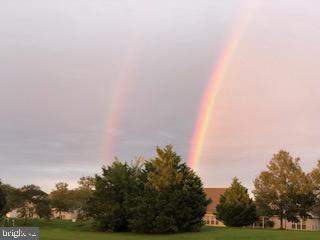 8 Harlequin Loop Bridgeville, DE 19933 - Photo 42 of 66 Back Yard View
